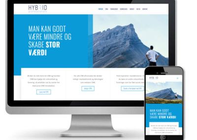 Hybrid Professionals